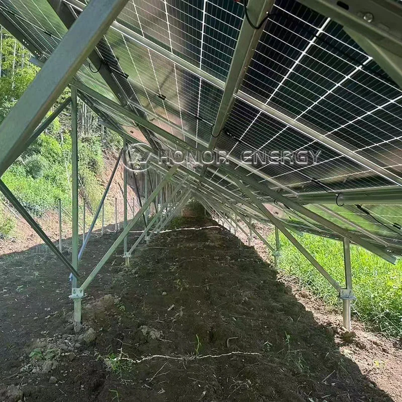 Montaje de tierra de granja solar
