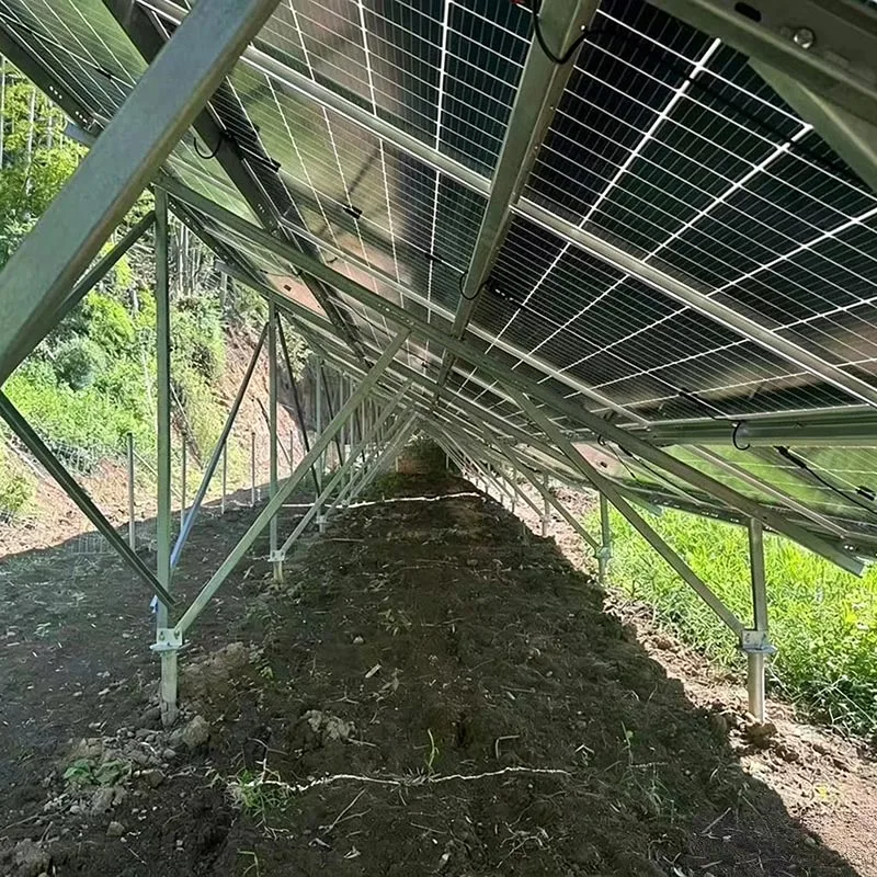 Montaje en tierra de granja solar